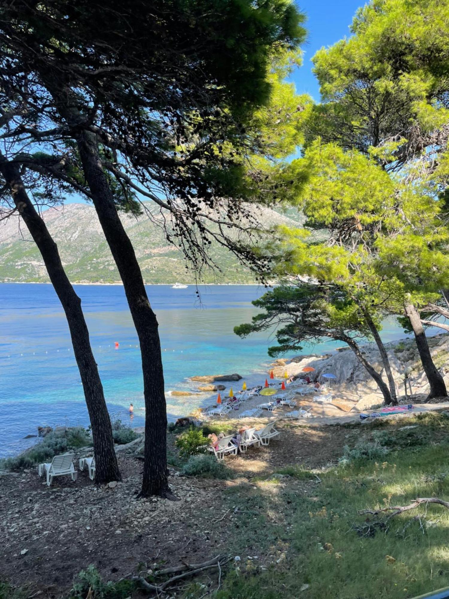 Family Ambient Apartment Cavtat Εξωτερικό φωτογραφία